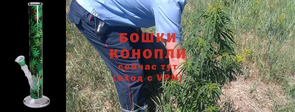 сатива Навашино