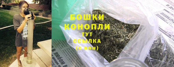 молекула духа Бабаево