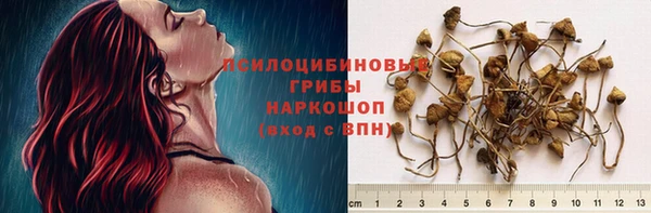 сатива Навашино