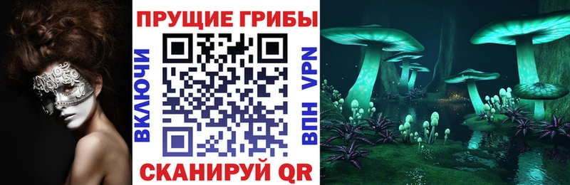 Псилоцибиновые грибы прущие грибы  это состав  Порхов 